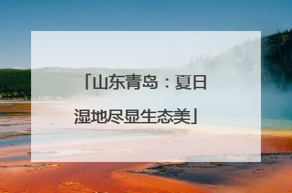 山东青岛：夏日湿地尽显生态美