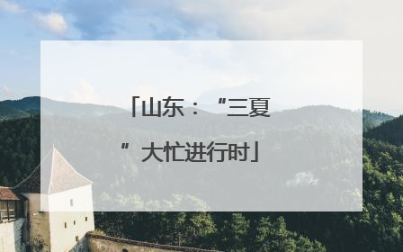 山东：“三夏”大忙进行时