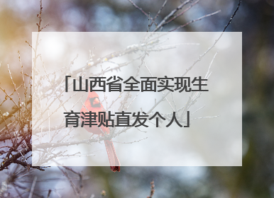 山西省全面实现生育津贴直发个人