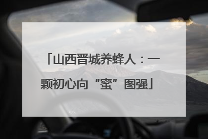 山西晋城养蜂人：一颗初心向“蜜”图强