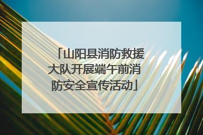山阳县消防救援大队开展端午前消防安全宣传活动
