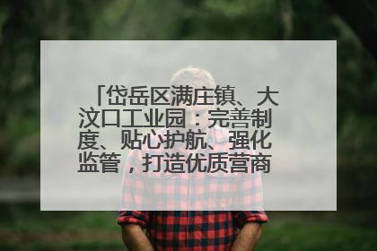 岱岳区满庄镇、大汶口工业园：完善制度、贴心护航、强化监管，打造优质营商“强磁场”