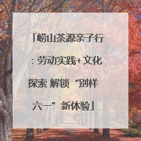 崂山茶源亲子行：劳动实践+文化探索 解锁“别样六一”新体验