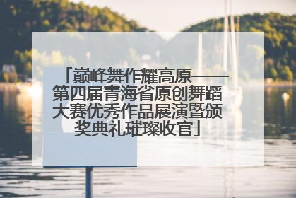 巅峰舞作耀高原——第四届青海省原创舞蹈大赛优秀作品展演暨颁奖典礼璀璨收官