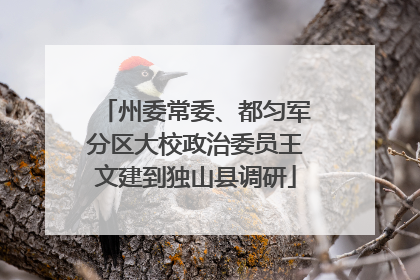 州委常委、都匀军分区大校政治委员王文建到独山县调研