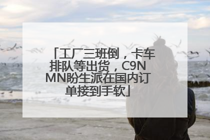 工厂三班倒，卡车排队等出货，C9NMN盼生派在国内订单接到手软