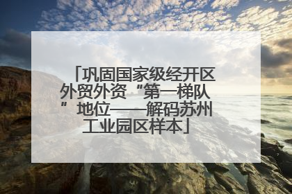 巩固国家级经开区外贸外资“第一梯队”地位——解码苏州工业园区样本