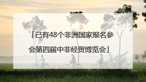 已有48个非洲国家报名参会第四届中非经贸博览会