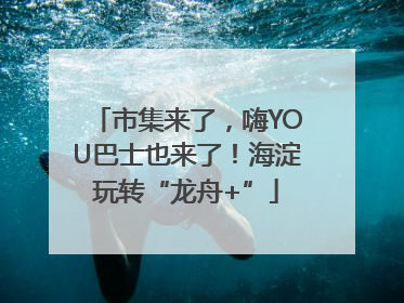 市集来了，嗨YOU巴士也来了！海淀玩转“龙舟+”