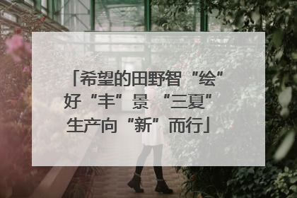 希望的田野智“绘”好“丰”景 “三夏”生产向“新”而行
