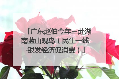 广东赵伯今年三赴湖南蓝山观鸟（民生一线·银发经济促消费）