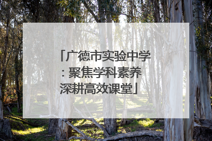 广德市实验中学：聚焦学科素养 深耕高效课堂