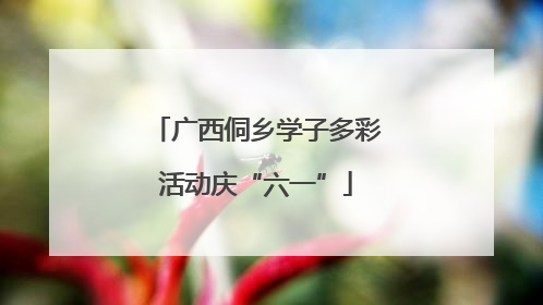 广西侗乡学子多彩活动庆“六一”