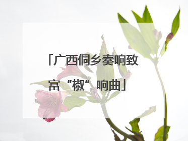 广西侗乡奏响致富“椒”响曲