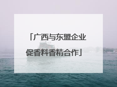 广西与东盟企业促香料香精合作