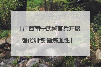 广西南宁武警官兵开展强化训练 锤炼血性