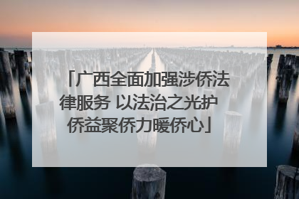 广西全面加强涉侨法律服务 以法治之光护侨益聚侨力暖侨心