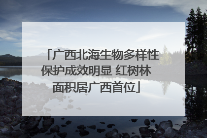 广西北海生物多样性保护成效明显 红树林面积居广西首位