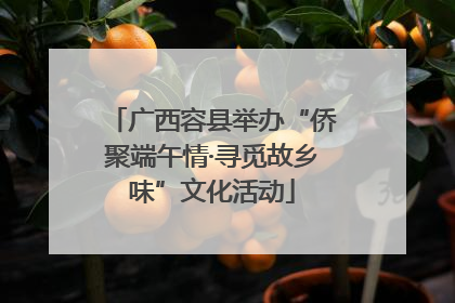 广西容县举办“侨聚端午情·寻觅故乡味”文化活动