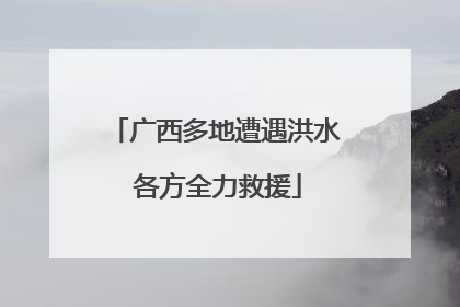 广西多地遭遇洪水 各方全力救援