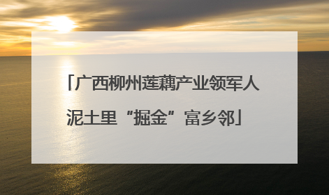 广西柳州莲藕产业领军人泥土里“掘金”富乡邻