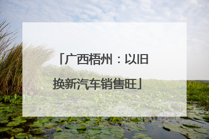 广西梧州：以旧换新汽车销售旺