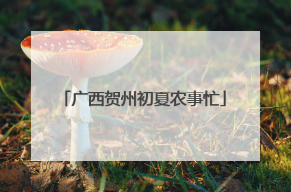 广西贺州初夏农事忙