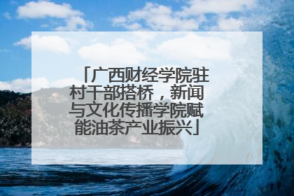 广西财经学院驻村干部搭桥，新闻与文化传播学院赋能油茶产业振兴