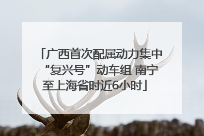 广西首次配属动力集中“复兴号”动车组 南宁至上海省时近6小时