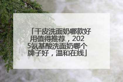 干皮洗面奶哪款好用值得推荐，2025氨基酸洗面奶哪个牌子好，温和在线