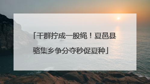 干群拧成一股绳！夏邑县骆集乡争分夺秒促夏种
