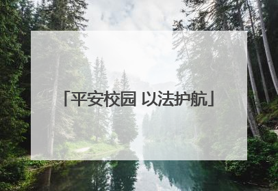 平安校园 以法护航