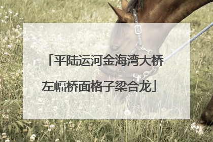 平陆运河金海湾大桥左幅桥面格子梁合龙
