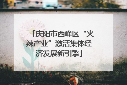 庆阳市西峰区“火辣产业”激活集体经济发展新引擎