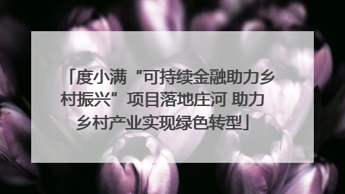 度小满“可持续金融助力乡村振兴”项目落地庄河 助力乡村产业实现绿色转型