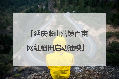 延庆张山营镇百亩网红稻田启动插秧