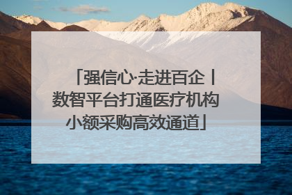 强信心·走进百企丨数智平台打通医疗机构小额采购高效通道