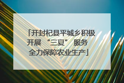 开封杞县平城乡积极开展 “三夏” 服务 全力保障农业生产