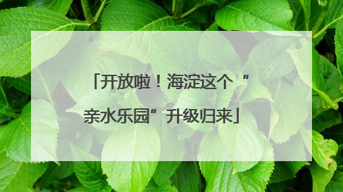 开放啦！海淀这个“亲水乐园”升级归来
