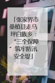 张家界市桑植县走马坪白族乡：“三个保障”筑牢防汛安全堤