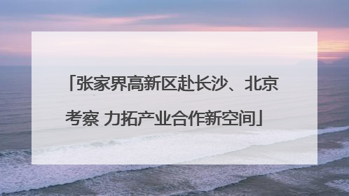 张家界高新区赴长沙、北京考察 力拓产业合作新空间