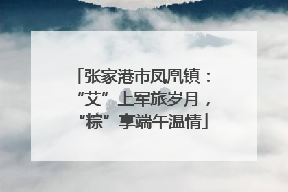 张家港市凤凰镇：“艾”上军旅岁月，“粽”享端午温情