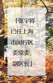 张宇祥已任上海市闵行区委常委、副区长