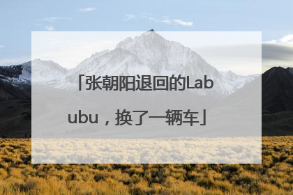 张朝阳退回的Labubu，换了一辆车