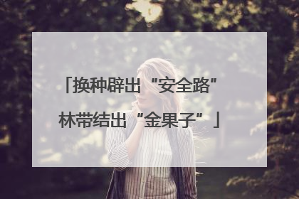 换种辟出“安全路” 林带结出“金果子”