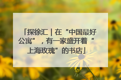 探徐汇｜在“中国最好公寓”，有一家盛开着“上海玫瑰”的书店