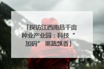 探访江西南昌千亩种业产业园：科技“加码” 果蔬飘香