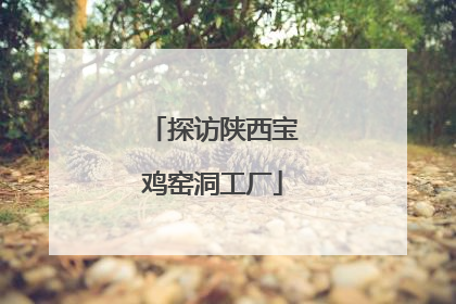 探访陕西宝鸡窑洞工厂