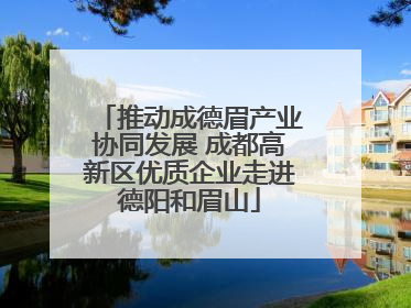 推动成德眉产业协同发展 成都高新区优质企业走进德阳和眉山