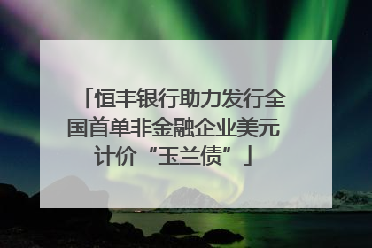 恒丰银行助力发行全国首单非金融企业美元计价“玉兰债”
